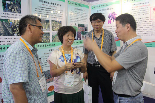 ׯ�к���Ϸ(�й�)�ɷ����޹�˾-����