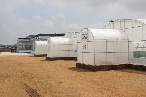 庄闲和游戏(中国)股份有限公司-官网