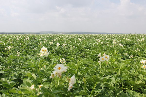 庄闲和游戏(中国)股份有限公司-官网