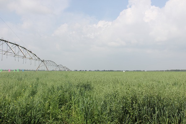 庄闲和游戏(中国)股份有限公司-官网