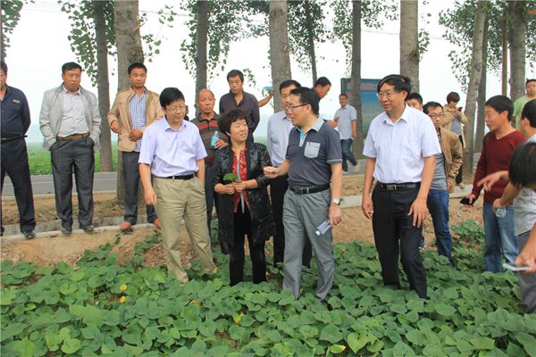 ׯÏкÍÓÎÏ·(Öйú)¹É·ÝÓÐÏÞ¹«Ë¾-¹ÙÍø