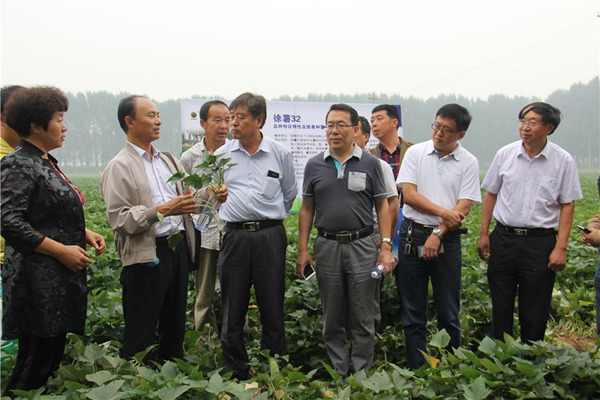 ׯÏкÍÓÎÏ·(Öйú)¹É·ÝÓÐÏÞ¹«Ë¾-¹ÙÍø