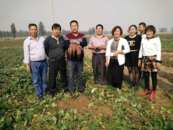 ׯ�к���Ϸ(�й�)�ɷ����޹�˾-����