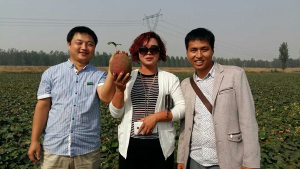 ׯ�к���Ϸ(�й�)�ɷ����޹�˾-����