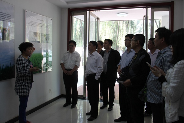 ׯ�к���Ϸ(�й�)�ɷ����޹�˾-����