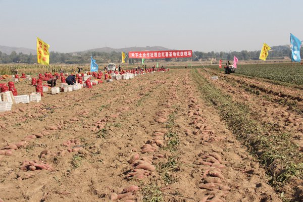 ׯ�к���Ϸ(�й�)�ɷ����޹�˾-����