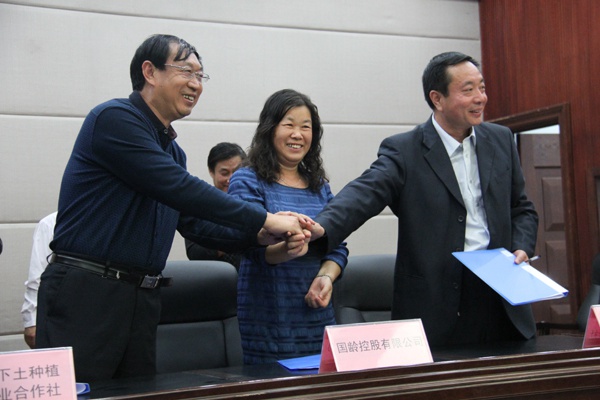 ׯ�к���Ϸ(�й�)�ɷ����޹�˾-����