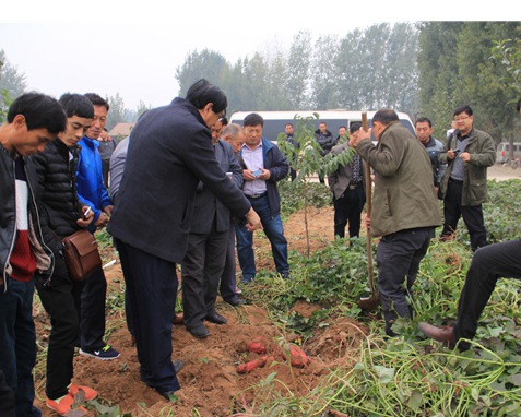 ׯ�к���Ϸ(�й�)�ɷ����޹�˾-����