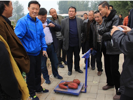 ׯ�к���Ϸ(�й�)�ɷ����޹�˾-����