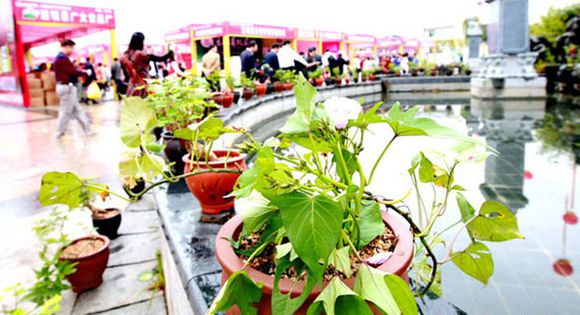 µØ¹ÏÅè¾° ׯÏкÍÓÎÏ·(Öйú)¹É·ÝÓÐÏÞ¹«Ë¾-¹ÙÍø