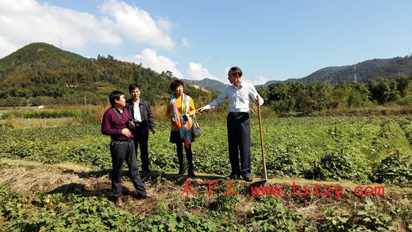 ׯ�к���Ϸ(�й�)�ɷ����޹�˾-����