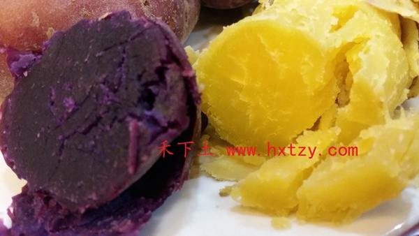 ׯ�к���Ϸ(�й�)�ɷ����޹�˾-����