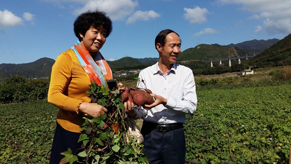 ׯ�к���Ϸ(�й�)�ɷ����޹�˾-����