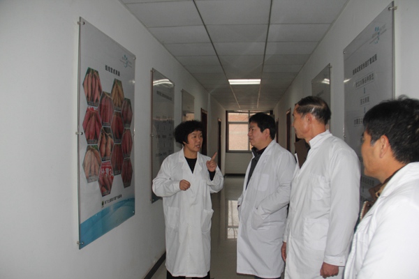 ׯ�к���Ϸ(�й�)�ɷ����޹�˾-����