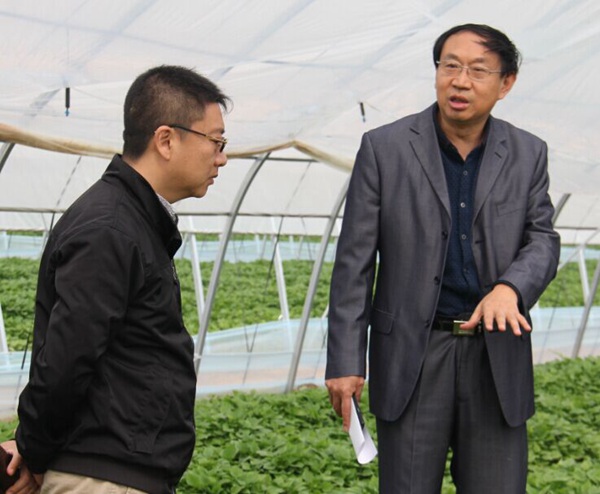 ׯ�к���Ϸ(�й�)�ɷ����޹�˾-����