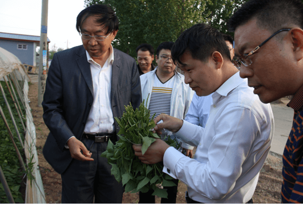 ׯ�к���Ϸ(�й�)�ɷ����޹�˾-����