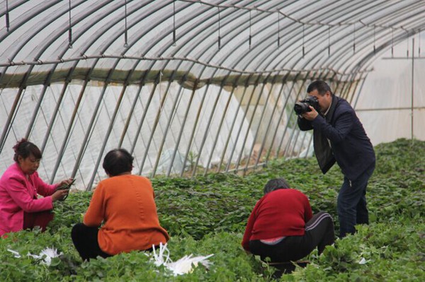 ׯ�к���Ϸ(�й�)�ɷ����޹�˾-����