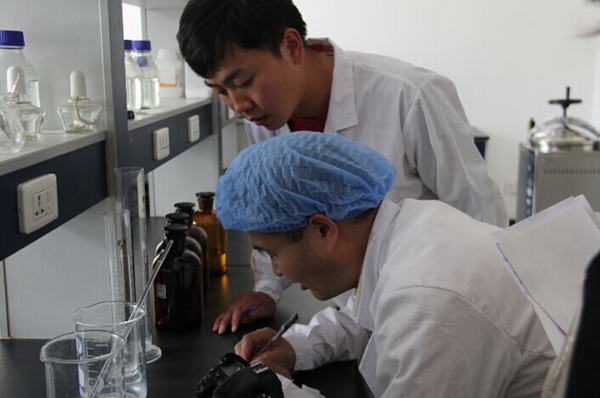 ׯ�к���Ϸ(�й�)�ɷ����޹�˾-����