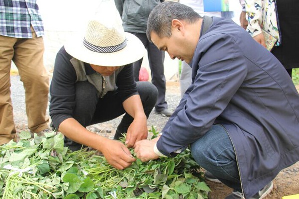 ׯ�к���Ϸ(�й�)�ɷ����޹�˾-����