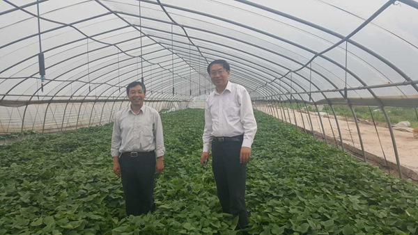 ׯ�к���Ϸ(�й�)�ɷ����޹�˾-����