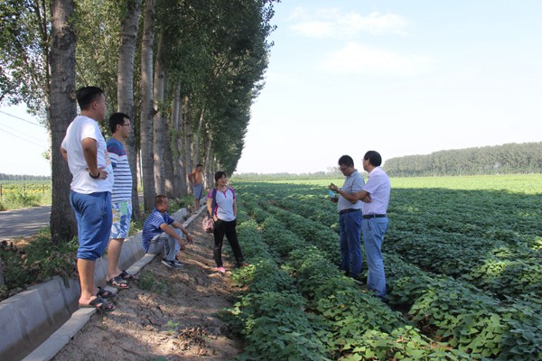 庄闲和游戏(中国)股份有限公司-官网