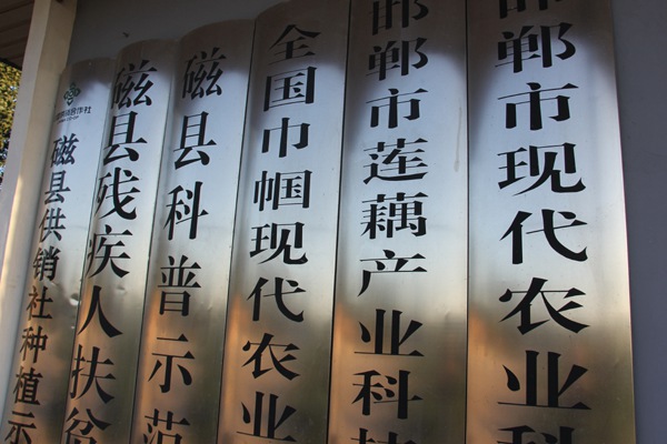 ׯ�к���Ϸ(�й�)�ɷ����޹�˾-����