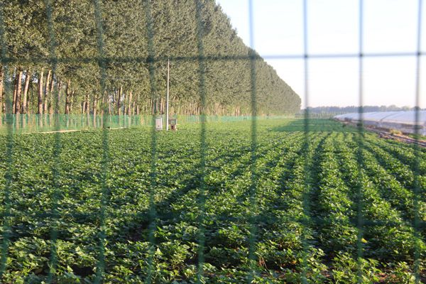 ׯ�к���Ϸ(�й�)�ɷ����޹�˾-����