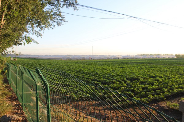 ׯ�к���Ϸ(�й�)�ɷ����޹�˾-����