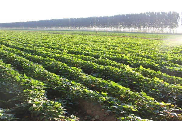 ׯ�к���Ϸ(�й�)�ɷ����޹�˾-����