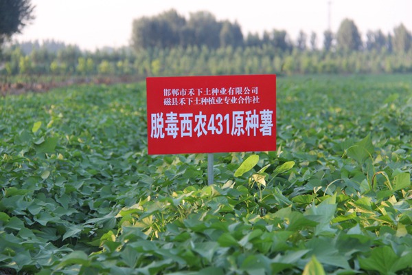 ׯ�к���Ϸ(�й�)�ɷ����޹�˾-����