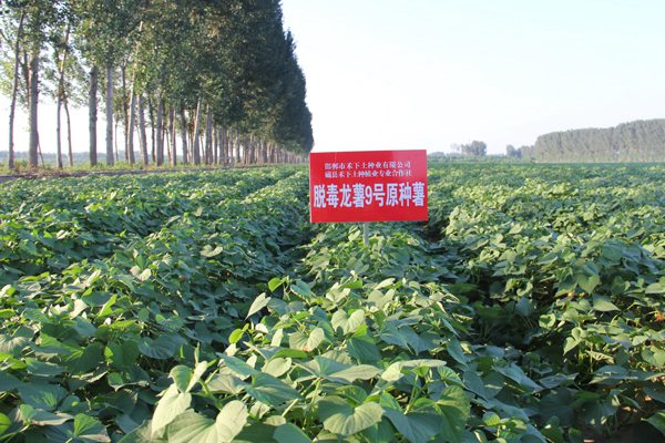 ׯ�к���Ϸ(�й�)�ɷ����޹�˾-����