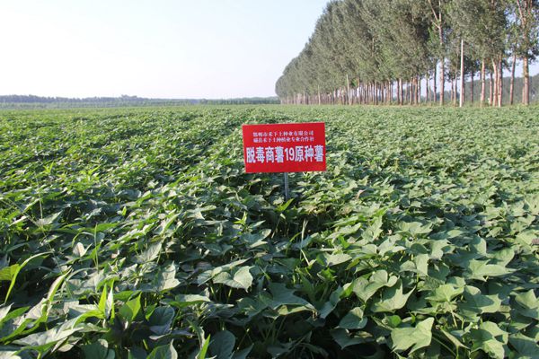 ׯ�к���Ϸ(�й�)�ɷ����޹�˾-����