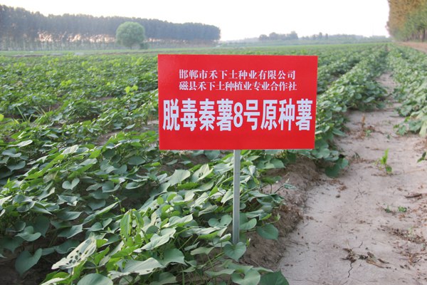 ׯ�к���Ϸ(�й�)�ɷ����޹�˾-����