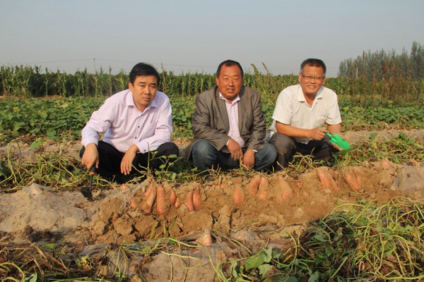 ׯ�к���Ϸ(�й�)�ɷ����޹�˾-����