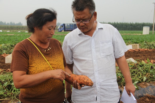 ׯ�к���Ϸ(�й�)�ɷ����޹�˾-����