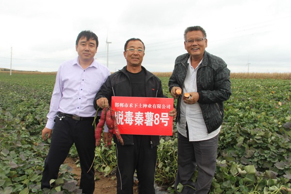 ׯ�к���Ϸ(�й�)�ɷ����޹�˾-����