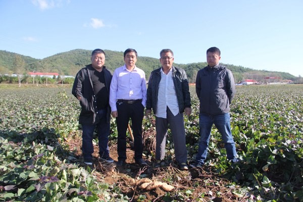 ׯ�к���Ϸ(�й�)�ɷ����޹�˾-����