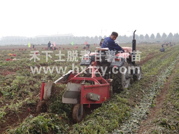 ׯ�к���Ϸ(�й�)�ɷ����޹�˾-����