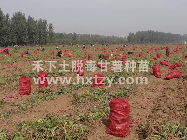 ׯ�к���Ϸ(�й�)�ɷ����޹�˾-����