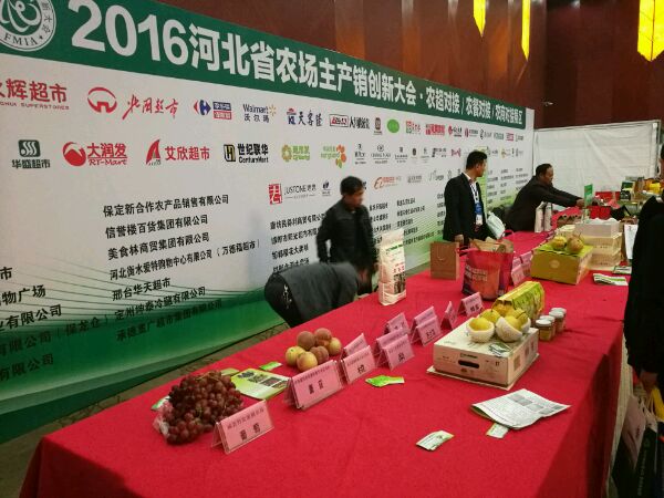 ׯ�к���Ϸ(�й�)�ɷ����޹�˾-����