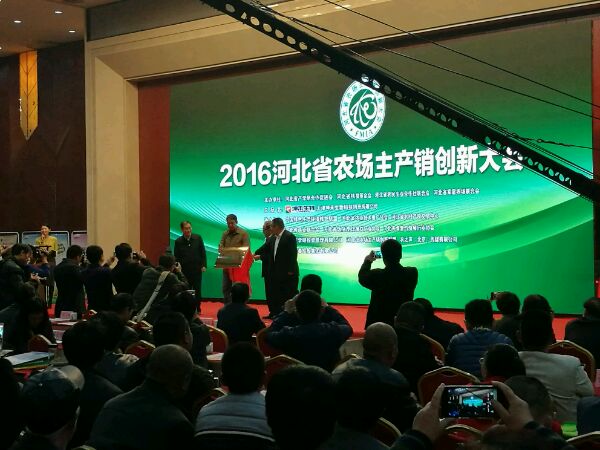 ׯ�к���Ϸ(�й�)�ɷ����޹�˾-����