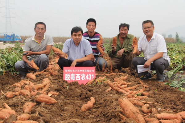 ׯ�к���Ϸ(�й�)�ɷ����޹�˾-����