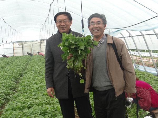 ׯ�к���Ϸ(�й�)�ɷ����޹�˾-����