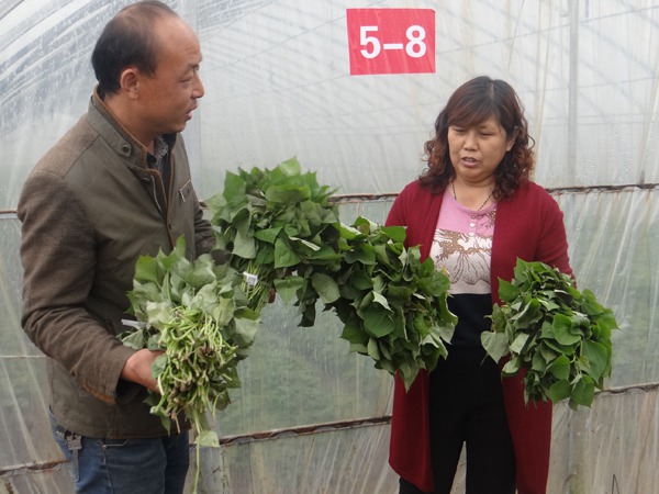 ׯ�к���Ϸ(�й�)�ɷ����޹�˾-����