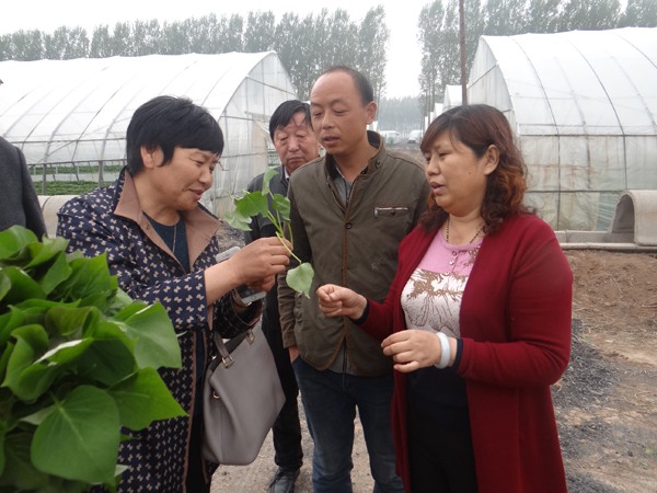 ׯ�к���Ϸ(�й�)�ɷ����޹�˾-����