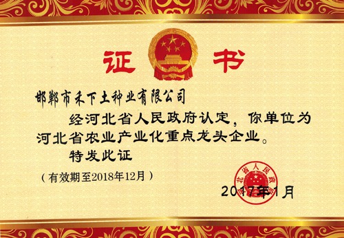 ׯ�к���Ϸ(�й�)�ɷ����޹�˾-����