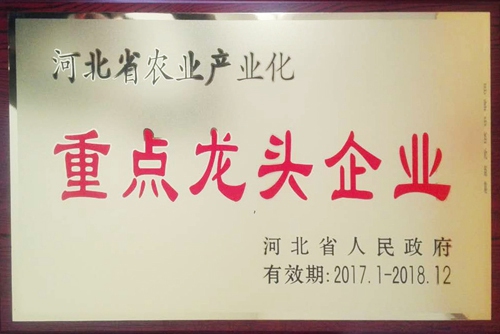 ׯ�к���Ϸ(�й�)�ɷ����޹�˾-����