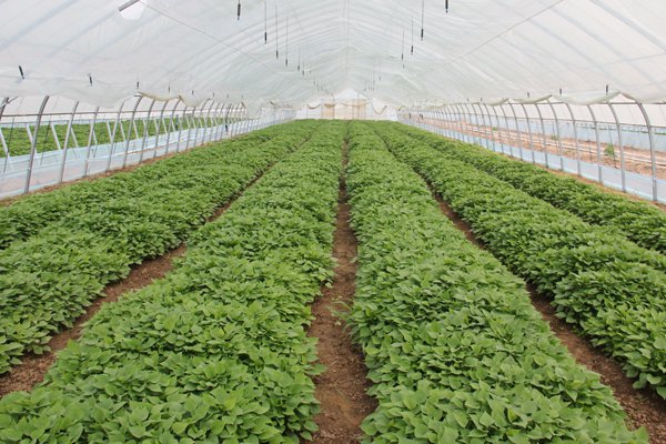 ׯ�к���Ϸ(�й�)�ɷ����޹�˾-����