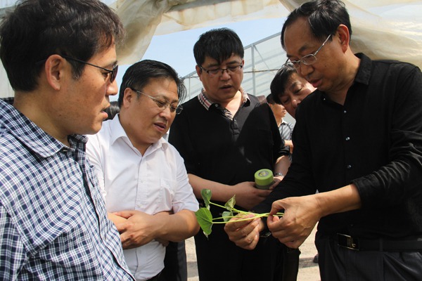 ׯÏкÍÓÎÏ·(Öйú)¹É·ÝÓÐÏÞ¹«Ë¾-¹ÙÍø