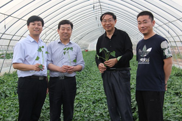 庄闲和游戏(中国)股份有限公司-官网